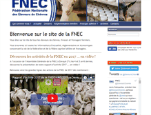 Tablet Screenshot of fnec.fr